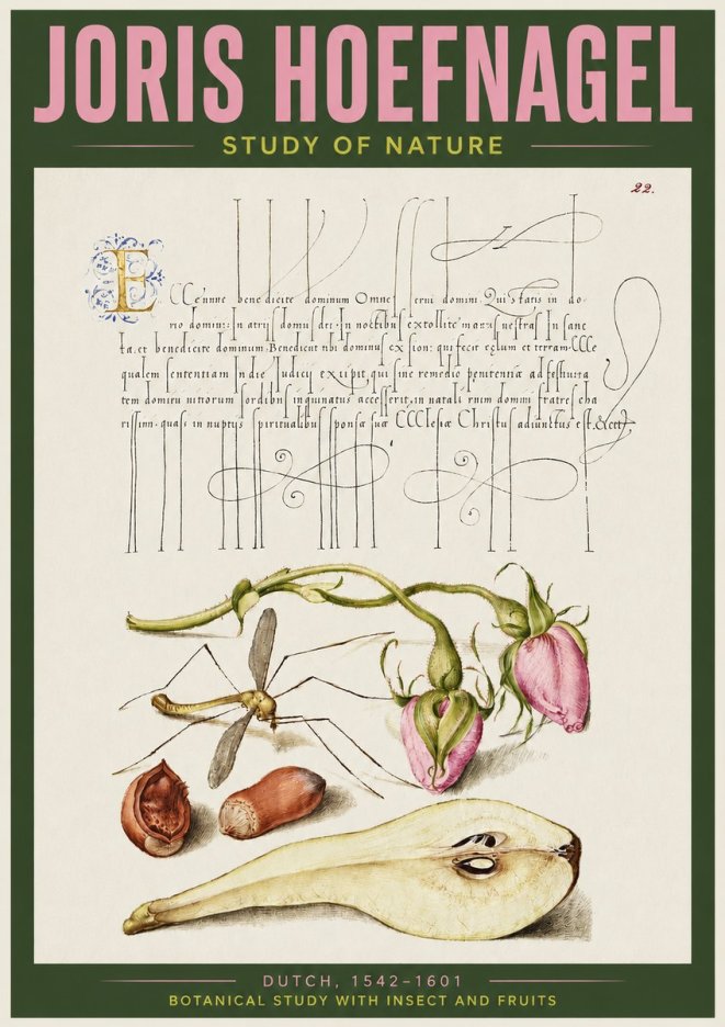 Joris Hoefnagel Studies of Plants, Insects and Fruits No4 - Affiche