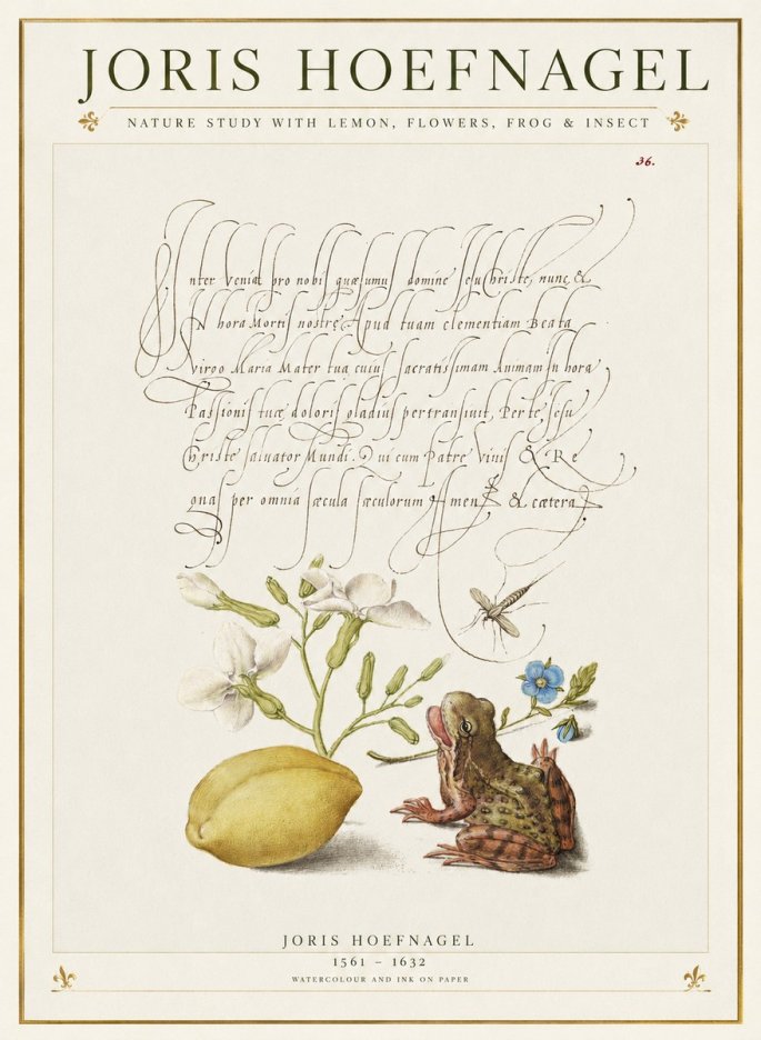 Joris Hoefnagel Nature Study with Lemon, Flowers, Frog & Insect No1 - Affiche