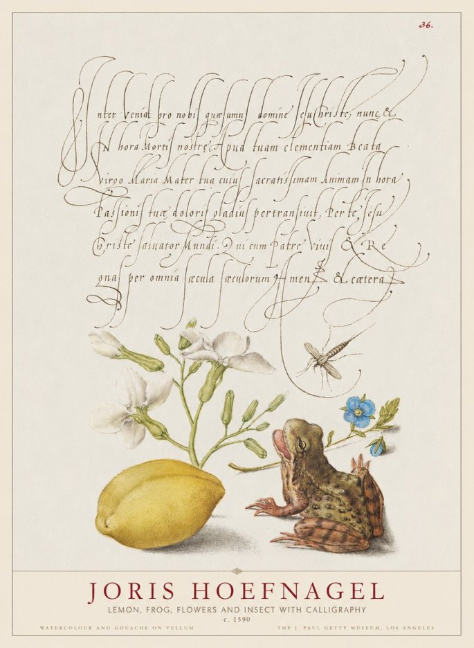 Joris Hoefnagel Nature Study with Lemon, Flowers, Frog & Insect No2 - Affiche