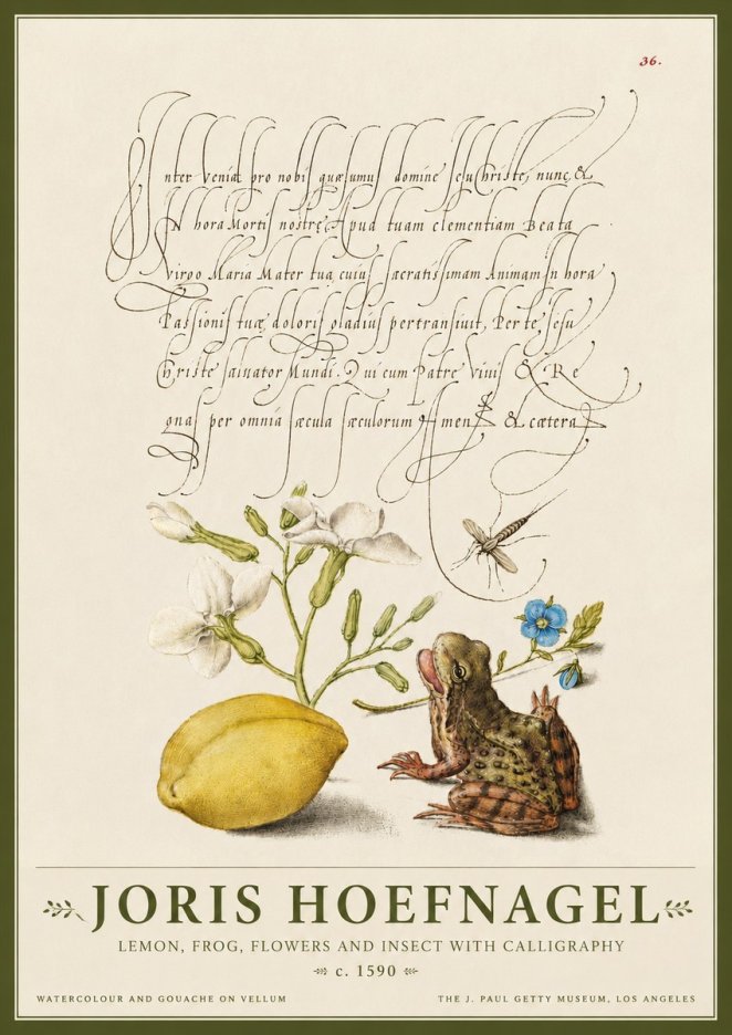 Joris Hoefnagel Nature Study with Lemon, Flowers, Frog & Insect No4 - Affiche
