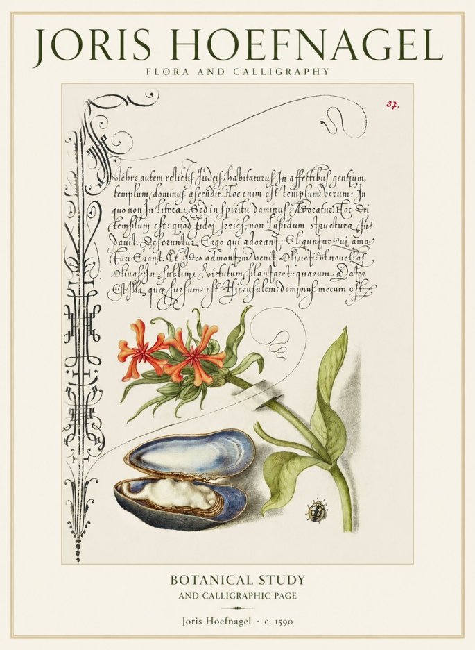 Joris Hoefnagel Botanical Study and Calligraphic Page No1 - Affiche