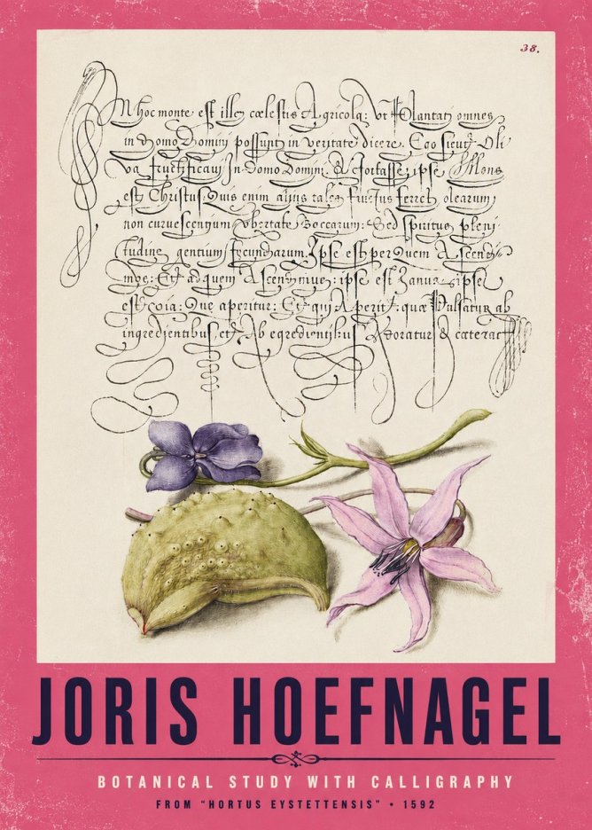 Joris Hoefnagel Botanical Study with Calligraphy I No2 - Affiche