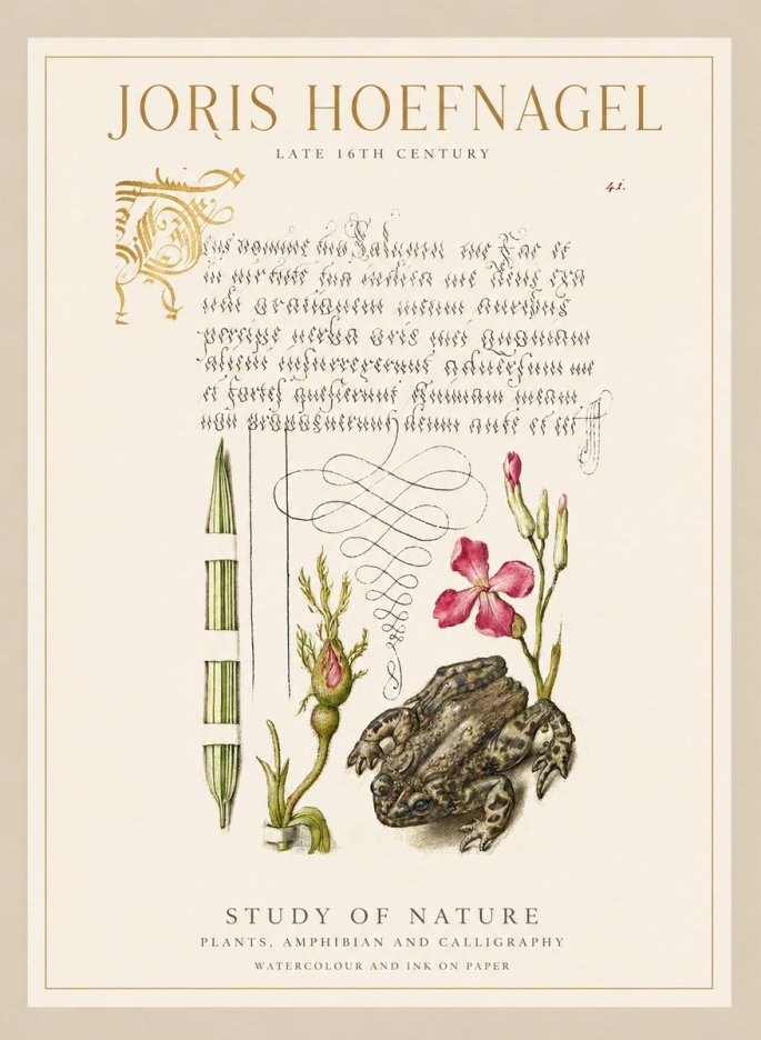 Joris Hoefnagel Study of Nature I No1 - Affiche