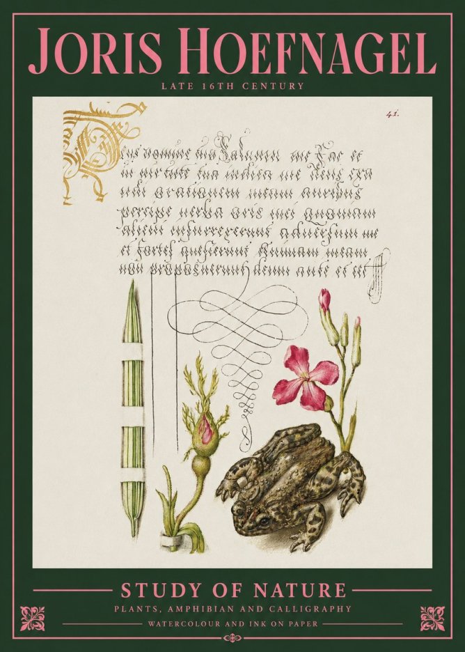 Joris Hoefnagel Study of Nature I No2 - Affiche