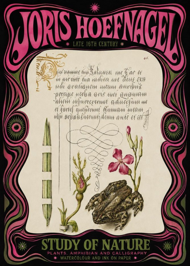 Joris Hoefnagel Study of Nature I No3 - Affiche