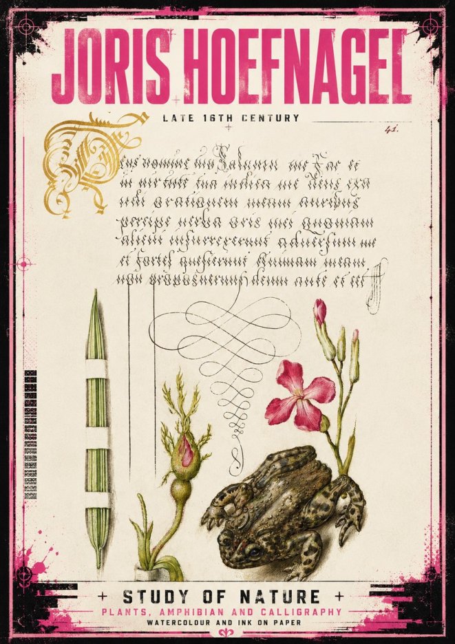 Joris Hoefnagel Study of Nature I No4 - Affiche