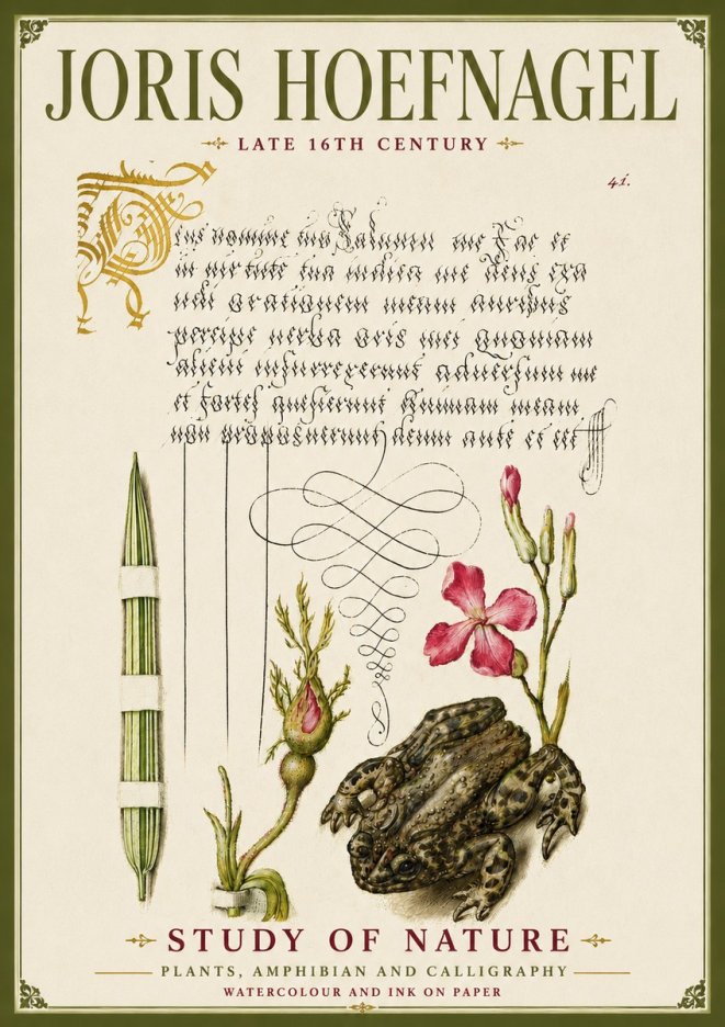 Joris Hoefnagel Study of Nature I No6 - Affiche