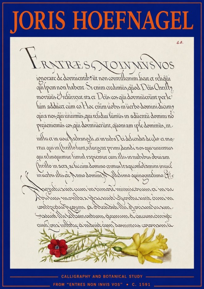 Joris Hoefnagel Calligraphy and Botanical Study I No3 - Affiche