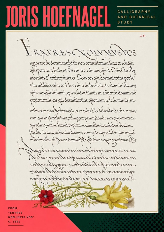 Joris Hoefnagel Calligraphy and Botanical Study I No5 - Affiche