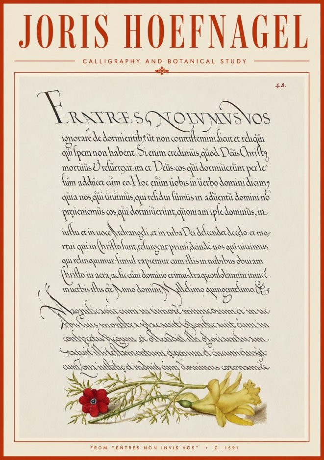 Joris Hoefnagel Calligraphy and Botanical Study I No6 - Affiche