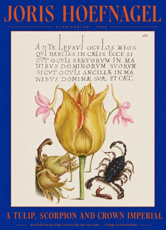 Joris Hoefnagel A Tulip, Scorpion and Crown Imperial No2 - Affiche