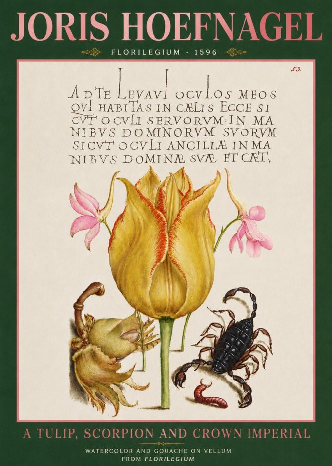 Joris Hoefnagel A Tulip, Scorpion and Crown Imperial No3 - Affiche