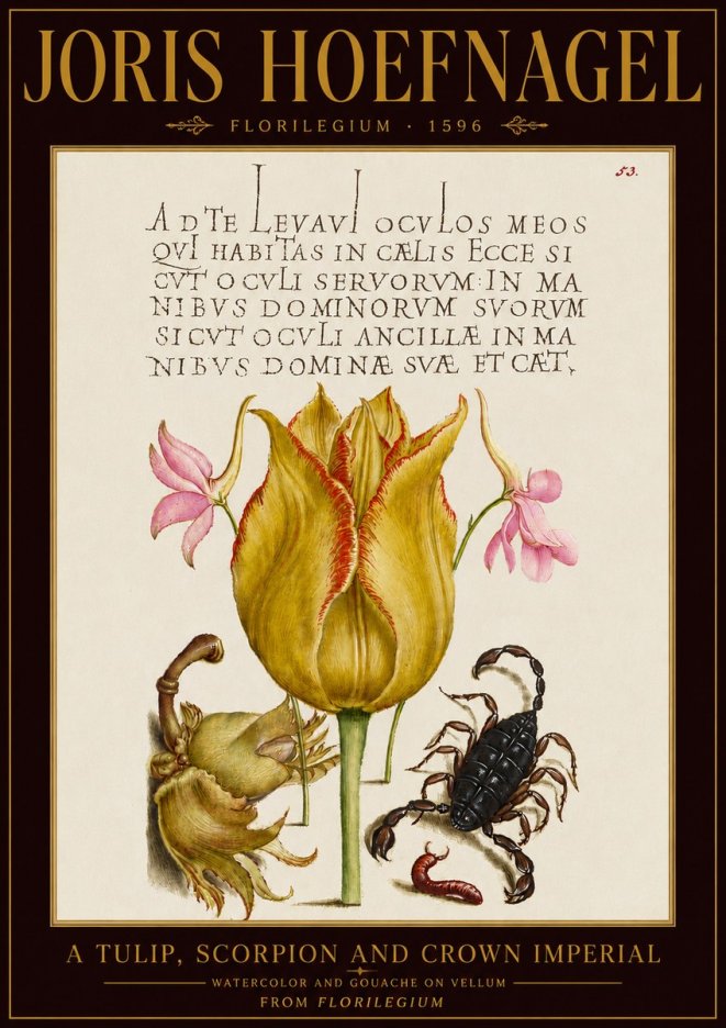 Joris Hoefnagel A Tulip, Scorpion and Crown Imperial No5 - Affiche