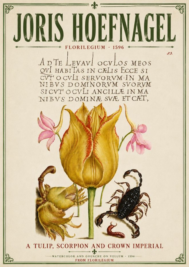 Joris Hoefnagel A Tulip, Scorpion and Crown Imperial No6 - Affiche