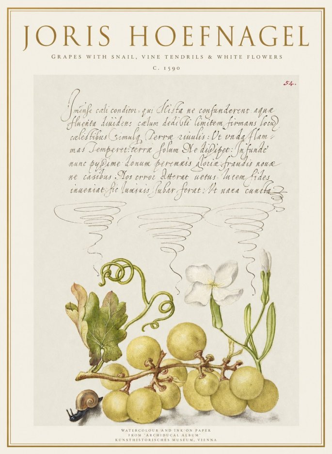 Joris Hoefnagel Grapes with Snail, Vine Tendrils & White Flowers No1 - Affiche