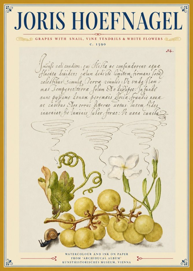 Joris Hoefnagel Grapes with Snail, Vine Tendrils & White Flowers No3 - Affiche