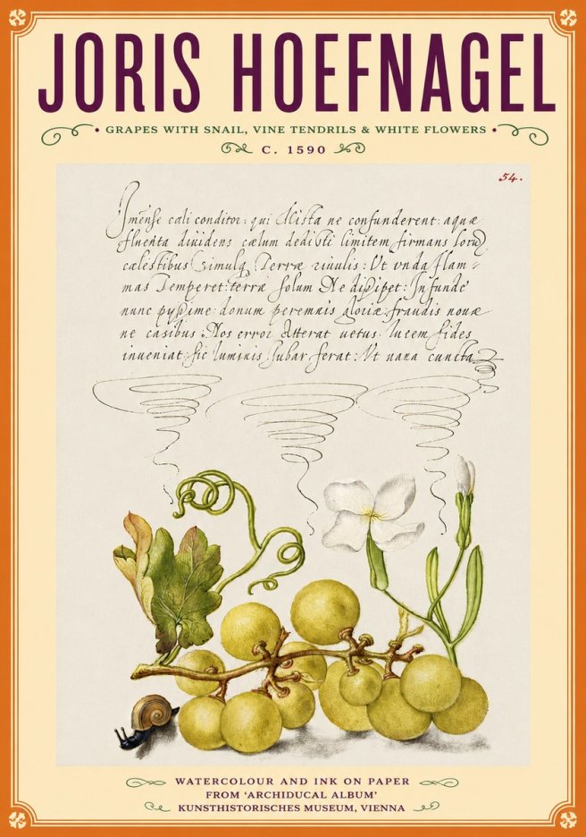 Joris Hoefnagel Grapes with Snail, Vine Tendrils & White Flowers No6 - Affiche