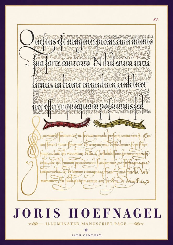 Joris Hoefnagel Illuminated Manuscript Page I No3 - Affiche