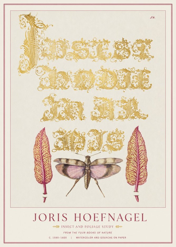 Joris Hoefnagel Insect and Foliage Study No1 - Affiche