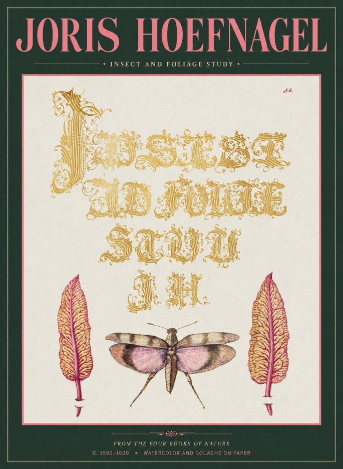 Joris Hoefnagel Insect and Foliage Study No2 - Affiche