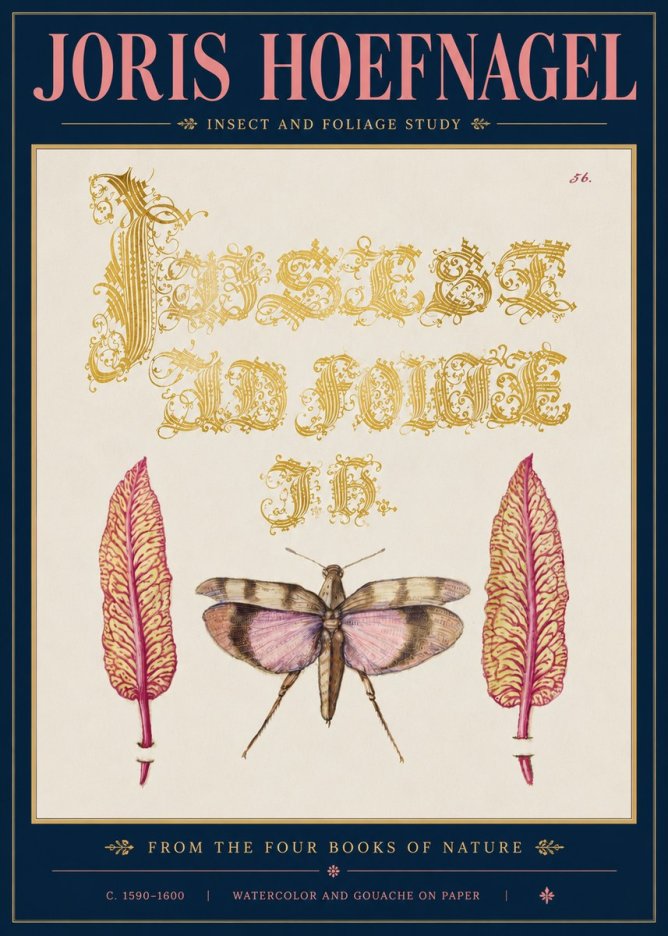 Joris Hoefnagel Insect and Foliage Study No5 - Affiche
