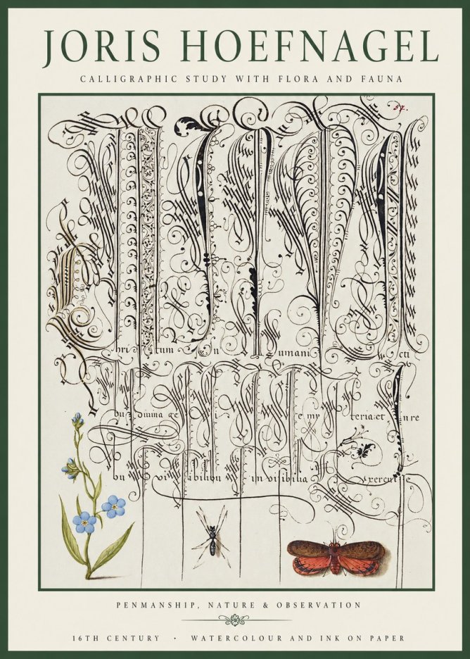 Joris Hoefnagel Calligraphic Study with Flora and Fauna No1 - Affiche