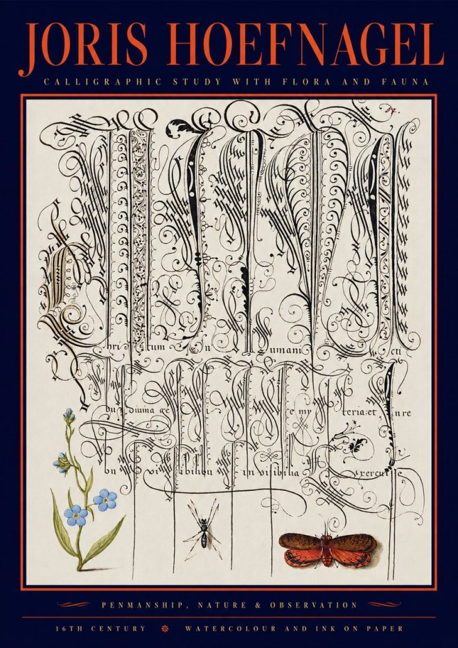 Joris Hoefnagel Calligraphic Study with Flora and Fauna No2 - Affiche