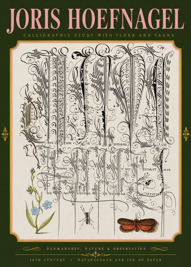 Joris Hoefnagel Calligraphic Study with Flora and Fauna No4 - Affiche
