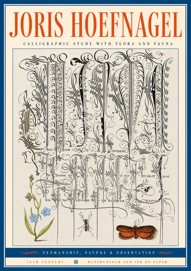 Joris Hoefnagel Calligraphic Study with Flora and Fauna No5 - Affiche