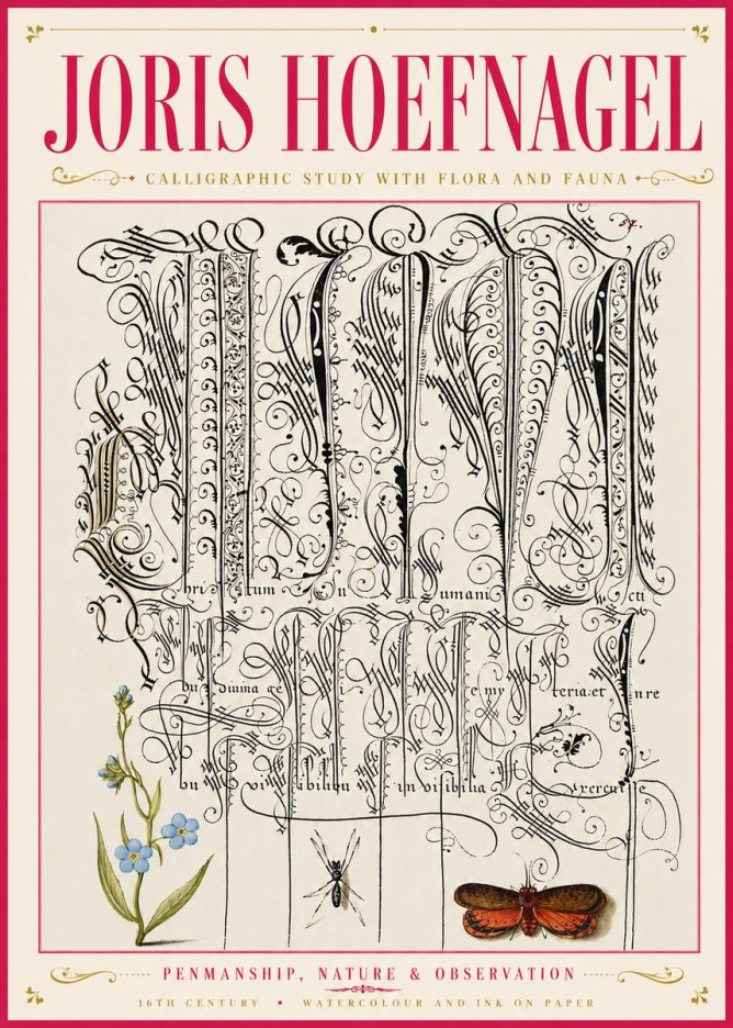 Joris Hoefnagel Calligraphic Study with Flora and Fauna No6 - Affiche