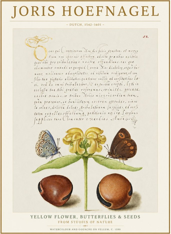 Joris Hoefnagel Yellow Flower, Butterflies & Seeds No1 - Affiche