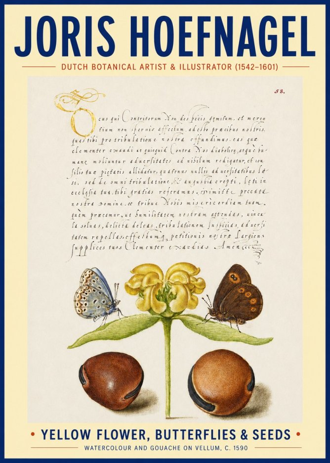 Joris Hoefnagel Yellow Flower, Butterflies & Seeds No3 - Affiche