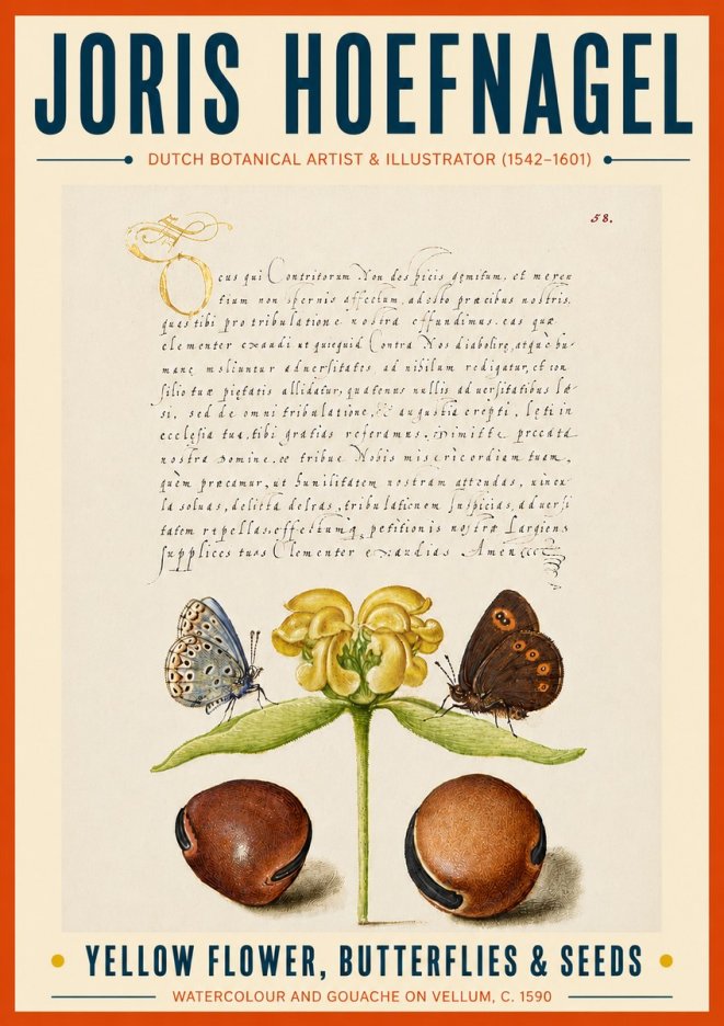 Joris Hoefnagel Yellow Flower, Butterflies & Seeds No6 - Affiche