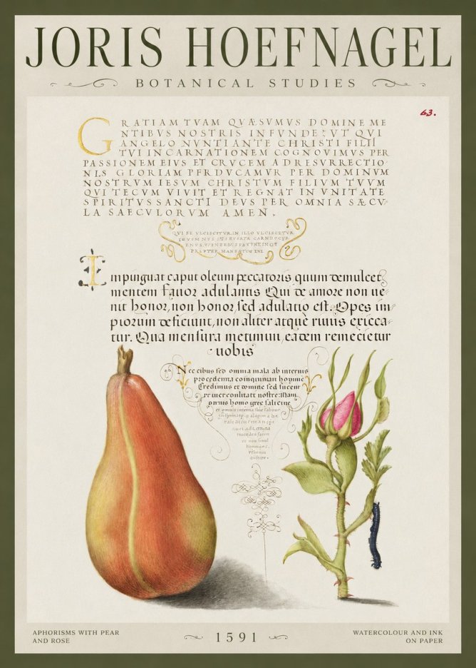 Joris Hoefnagel Aphorisms with Pear and Rose No1 - Affiche
