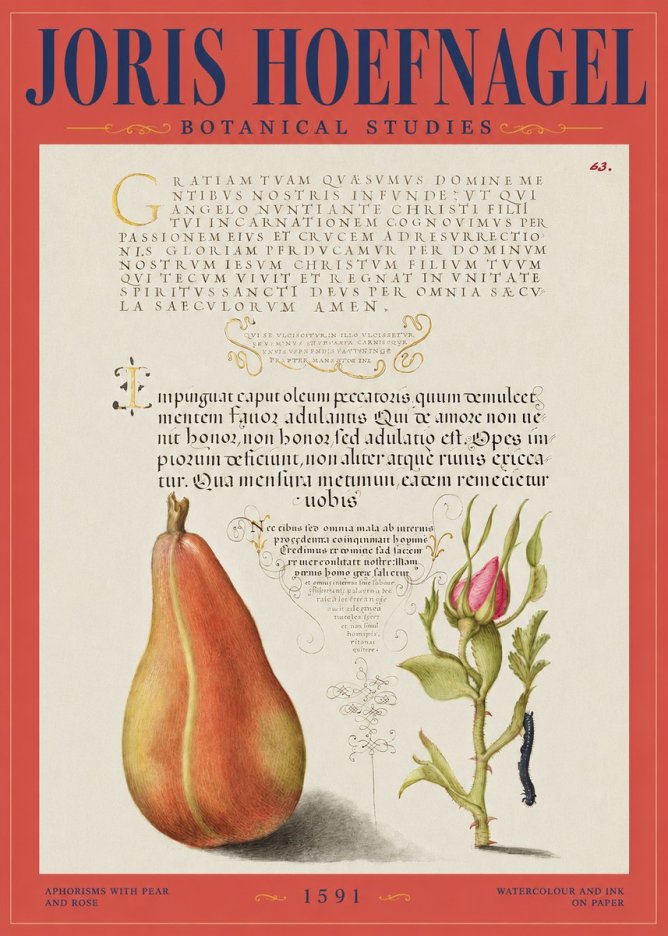 Joris Hoefnagel Aphorisms with Pear and Rose No2 - Affiche