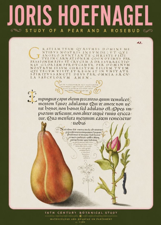 Joris Hoefnagel Aphorisms with Pear and Rose No4 - Affiche