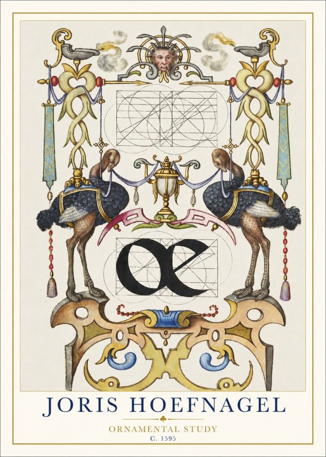 Joris Hoefnagel Ornamental Study I No1 - Affiche