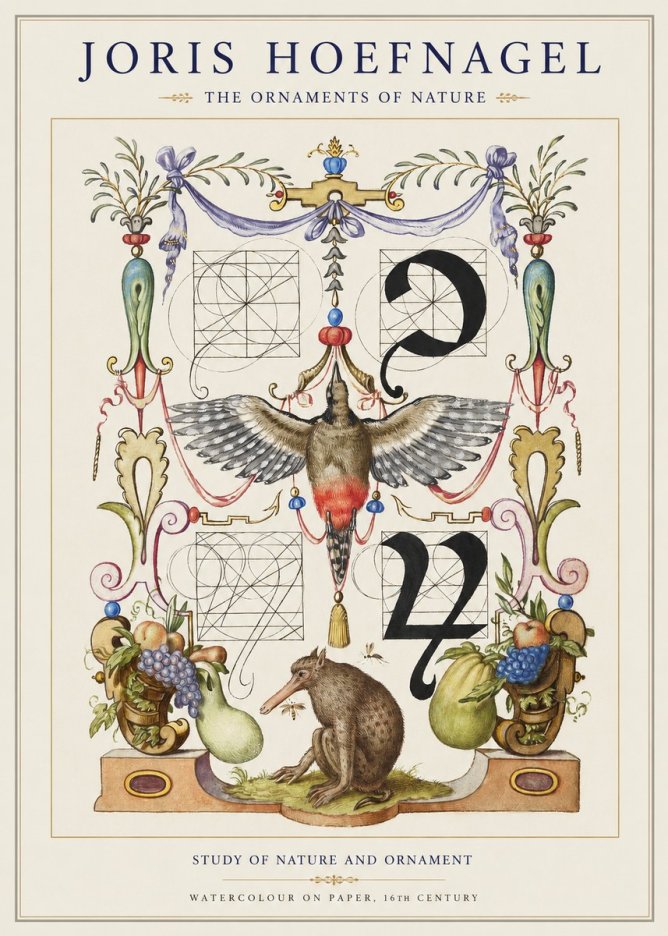 Joris Hoefnagel Study of Nature and Ornament No1 - Affiche