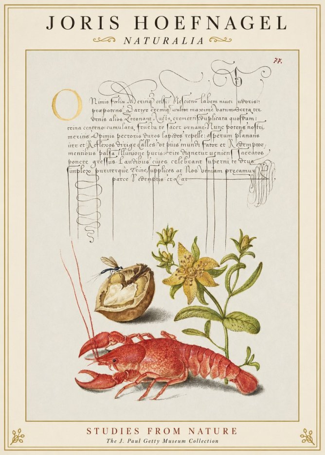 Joris Hoefnagel Studies from Nature No1 - Affiche
