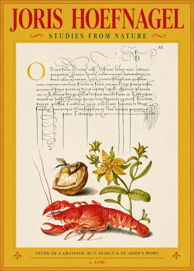 Joris Hoefnagel Studies from Nature No3 - Affiche