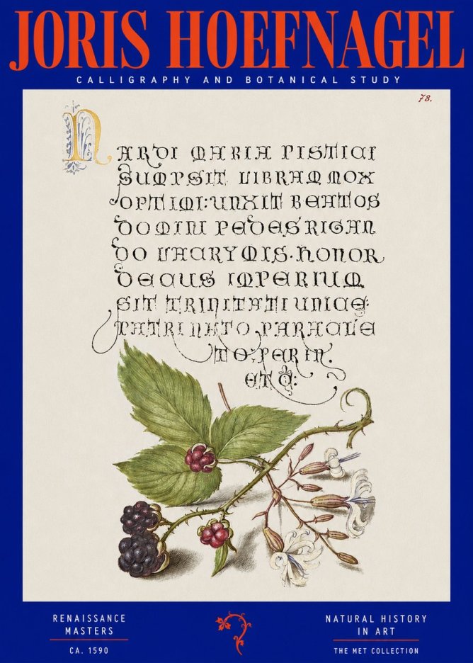 Joris Hoefnagel Calligraphy and Botanical Study II No2 - Affiche