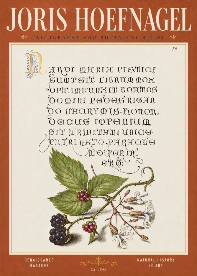 Joris Hoefnagel Calligraphy and Botanical Study II No4 - Affiche