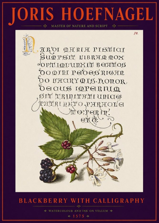 Joris Hoefnagel Calligraphy and Botanical Study II No6 - Affiche