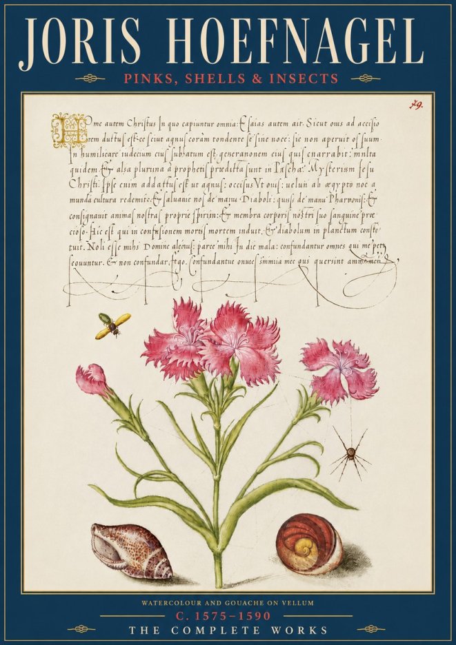 Joris Hoefnagel Pinks, Shells & Insects No5 - Affiche