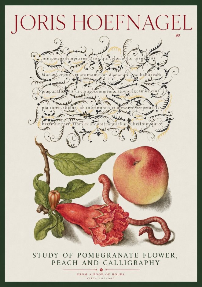 Joris Hoefnagel Study of Pomegranate Flower, Peach and Calligraphy from a Book of Hours No2 - Affiche