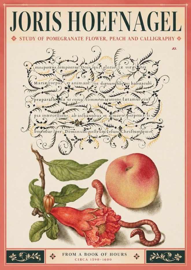 Joris Hoefnagel Study of Pomegranate Flower, Peach and Calligraphy from a Book of Hours No3 - Affiche