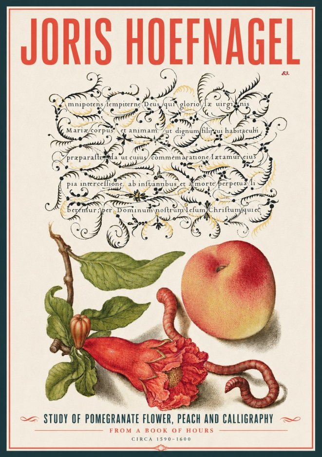Joris Hoefnagel Study of Pomegranate Flower, Peach and Calligraphy from a Book of Hours No4 - Affiche