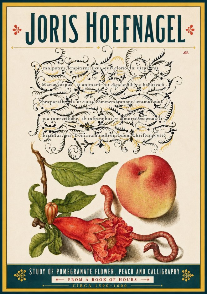 Joris Hoefnagel Study of Pomegranate Flower, Peach and Calligraphy from a Book of Hours No5 - Affiche