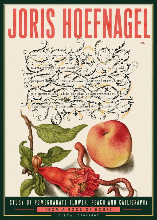 Joris Hoefnagel Study of Pomegranate Flower, Peach and Calligraphy from a Book of Hours No6 - Affiche
