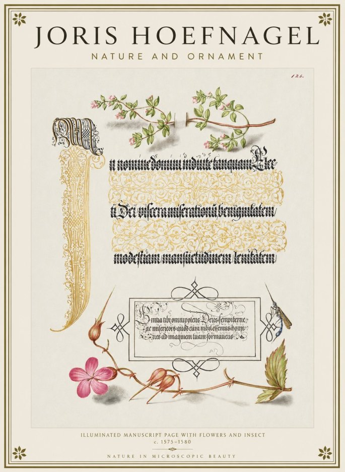 Joris Hoefnagel Illuminated Manuscript Page with Flowers and Insect No1 - Affiche